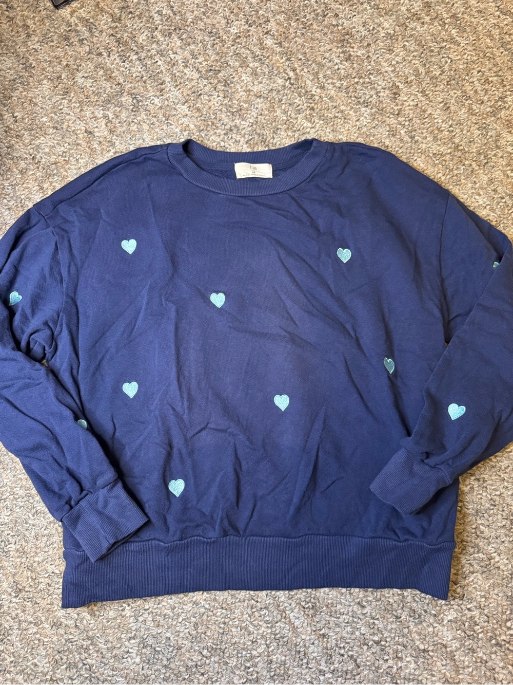 T.La from Anthropologie Navy Crewneck Sweatshirt with embroidered hearts